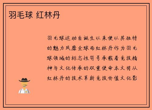 羽毛球 红林丹
